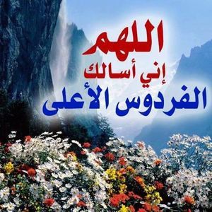 Meet your Posher, Mariam